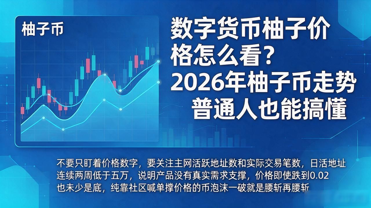 柚子币主网活跃地址数解读_数字货币柚子价格_柚子币价格走势分析2026
